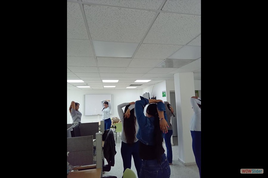 Pausas activas copasst