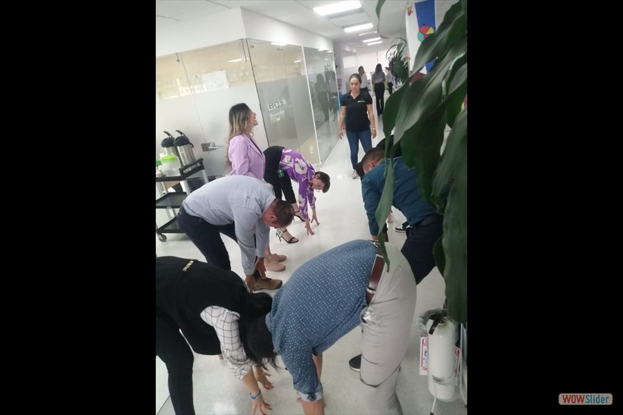 Pausas activas copasst