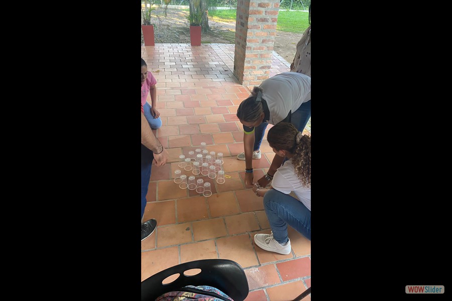 San Alberto, Pelaya, San Martín, Gamarra, Ocaña, Aguachica