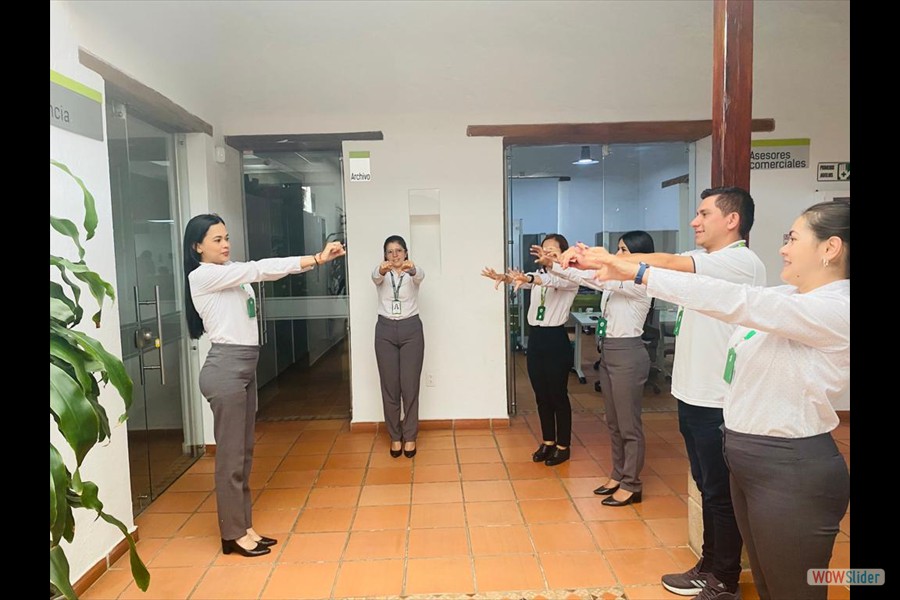 Pausas activas copasst