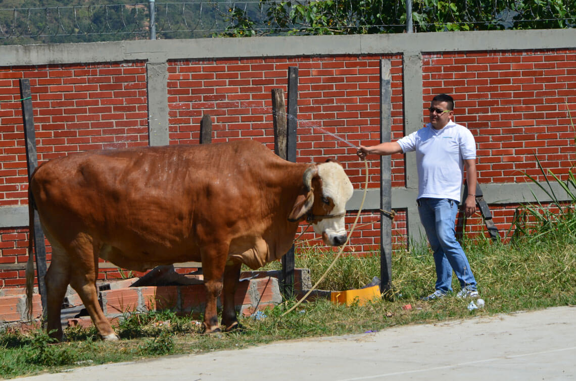 Donación - Colegio Gustavo Cote -Norte-
