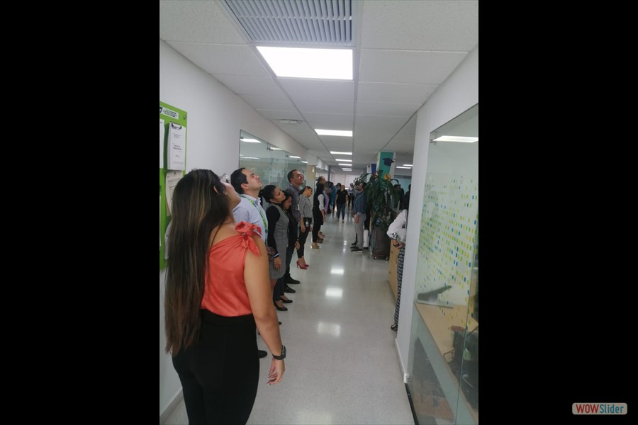 Pausas activas copasst