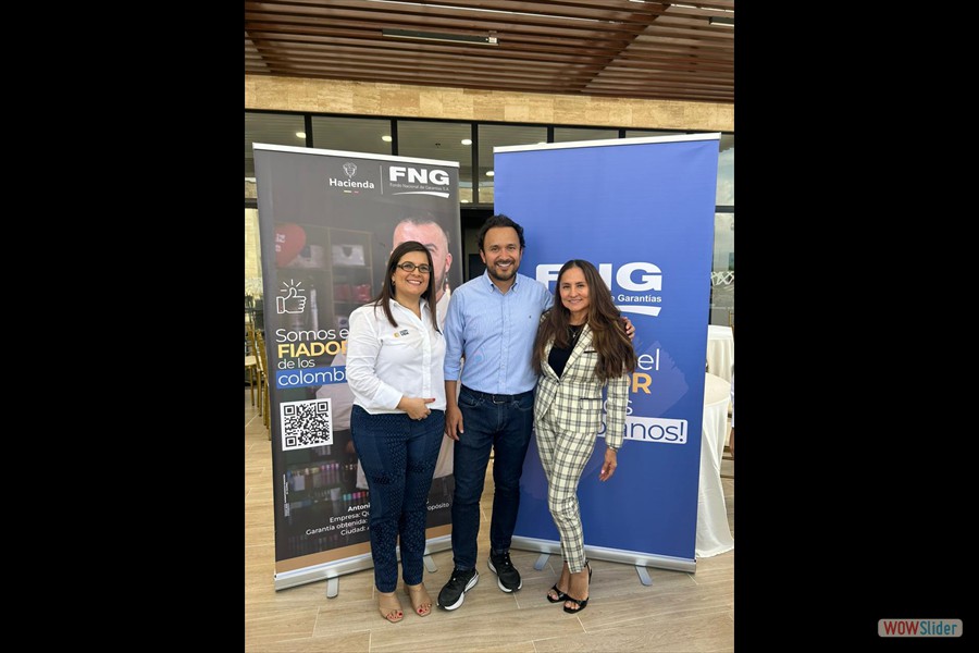 Fondo Nacional de Garantías