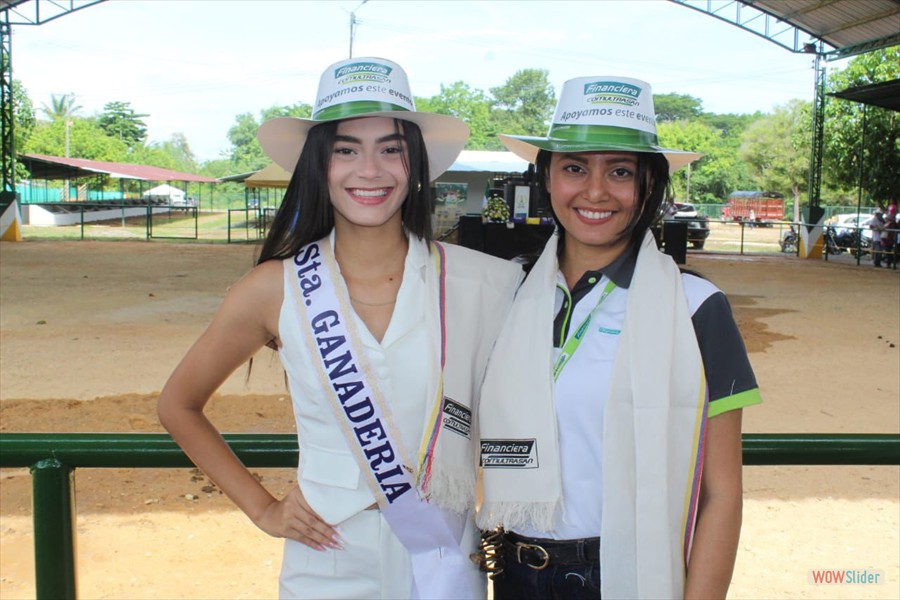 Ferias y fiestas - Sabana de Torres