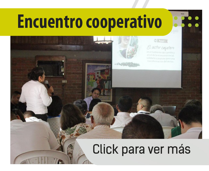 Encuentro Cooperativo