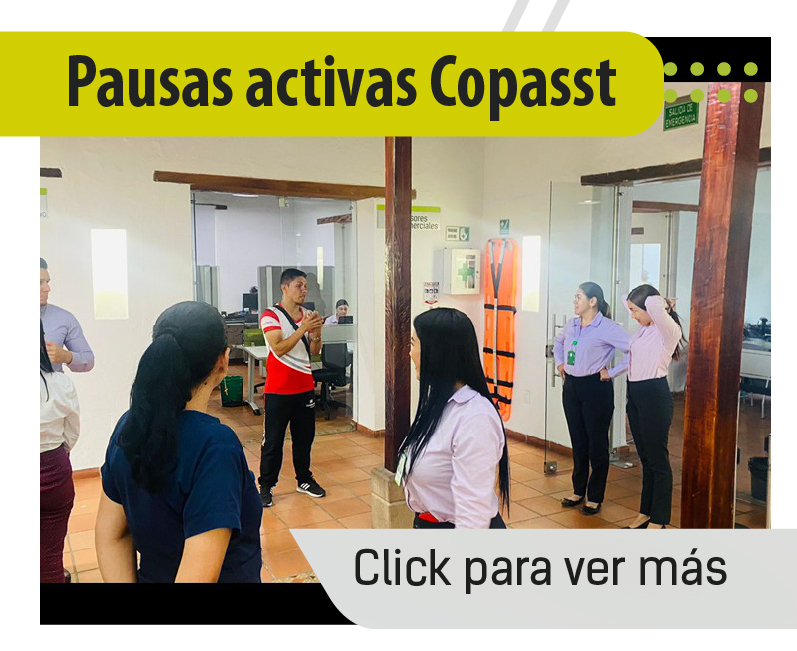 Pausas activas