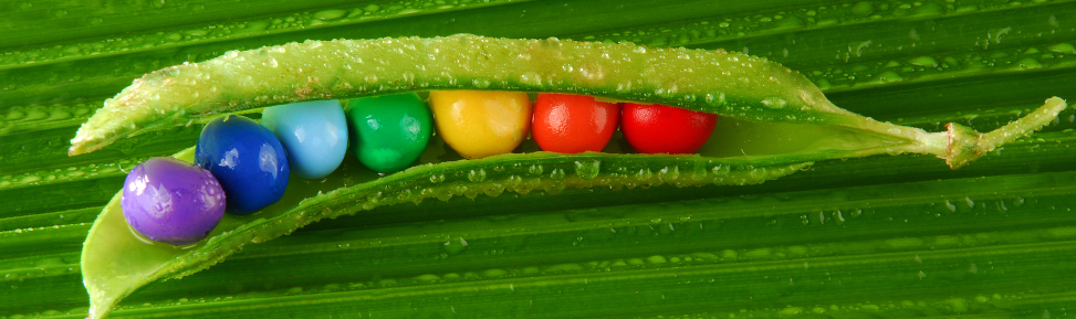 Principios cooperativismo